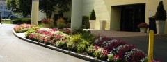 Holiday Inn Landscaping